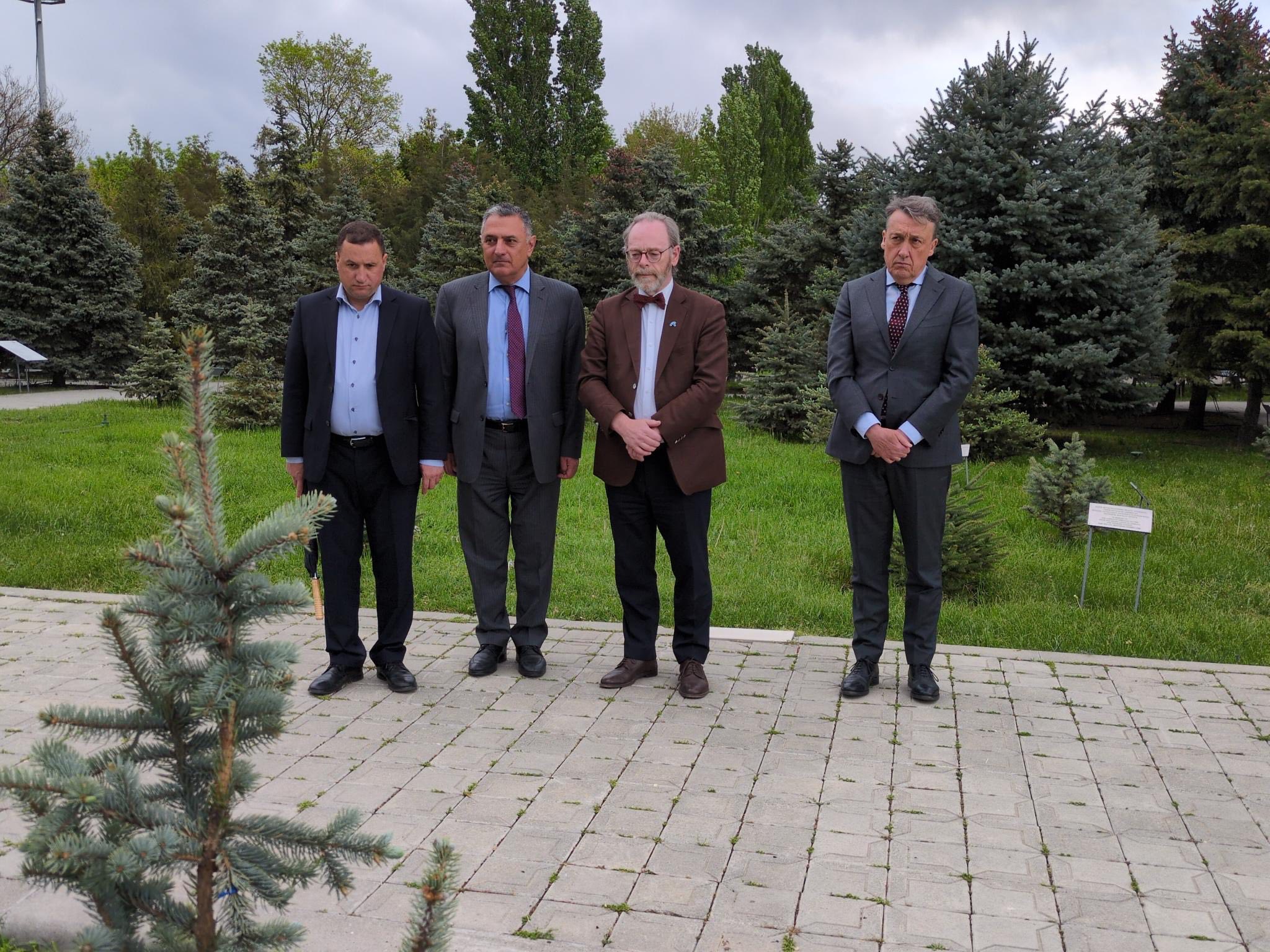 bij ‘mijn’ boompje in het park daarnaast;